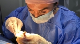 Blepharoplasty & Squint Training Course
