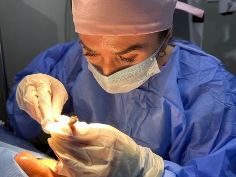 Blepharoplasty & Squint Training Course